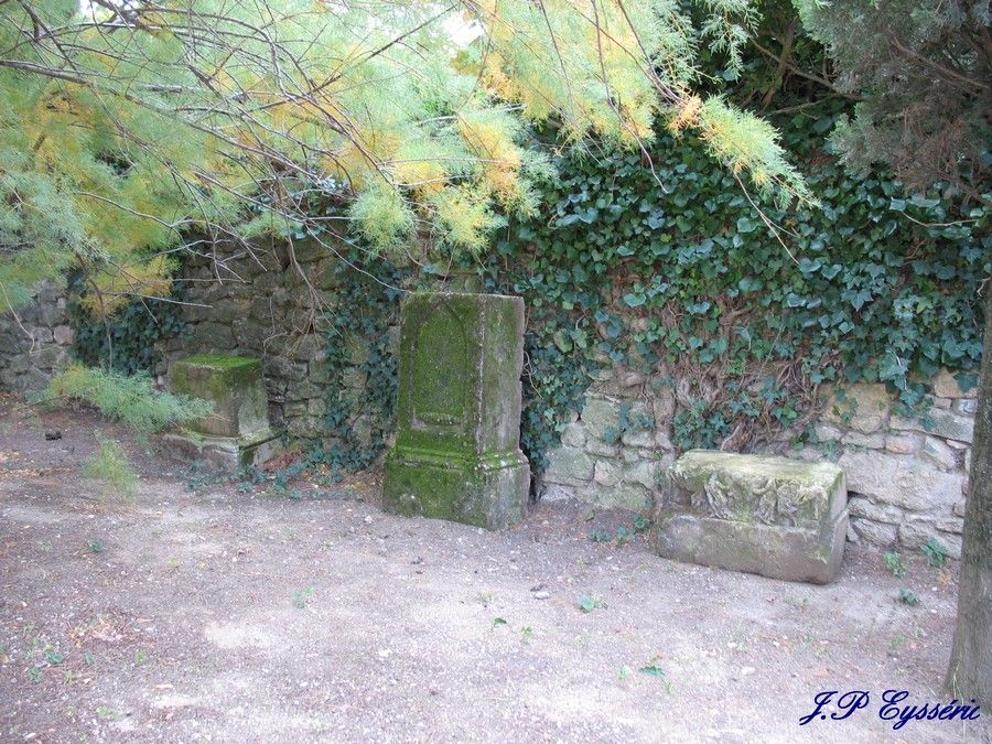 SAINTE CECILE LES VIGNES en Vaucluse Page 2